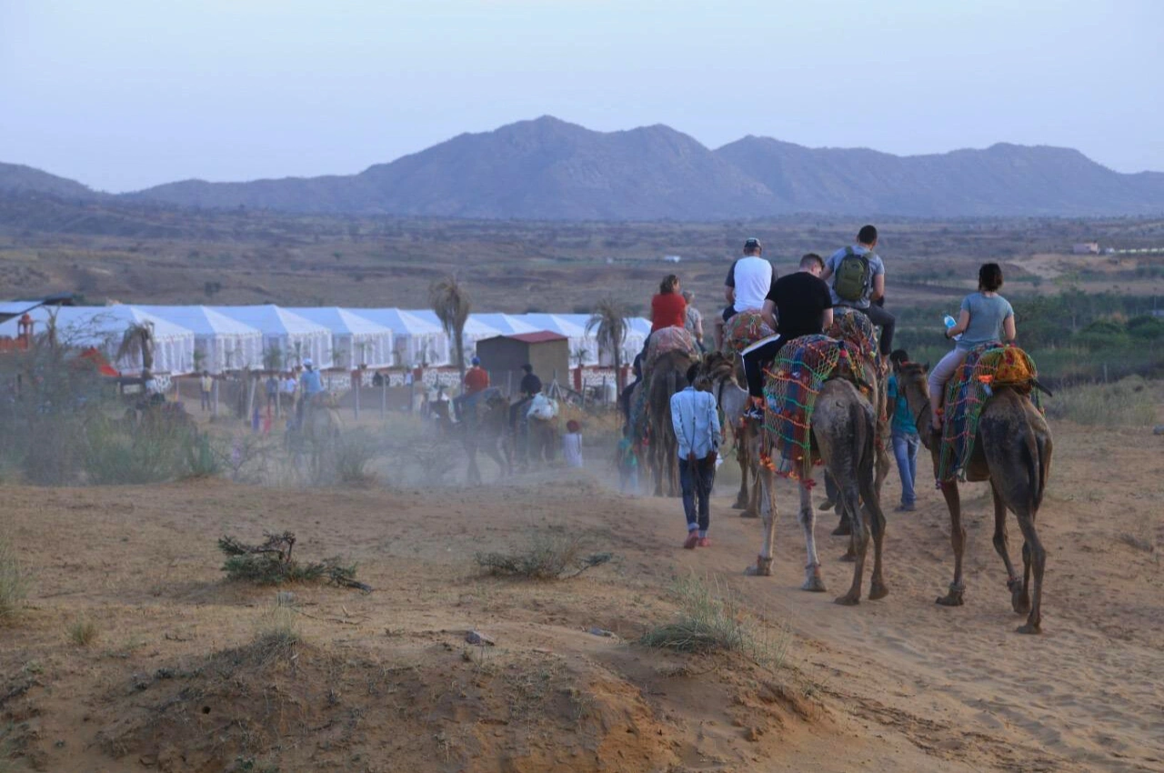 Camel Safari In Pushkar