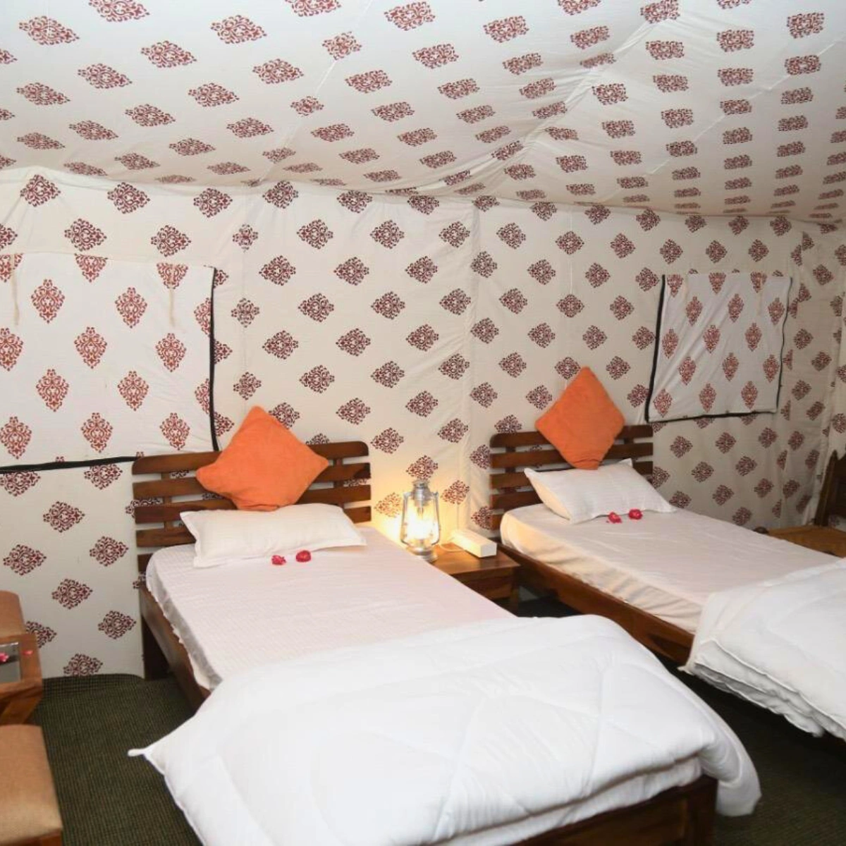 Overnight Camping In Pushkar