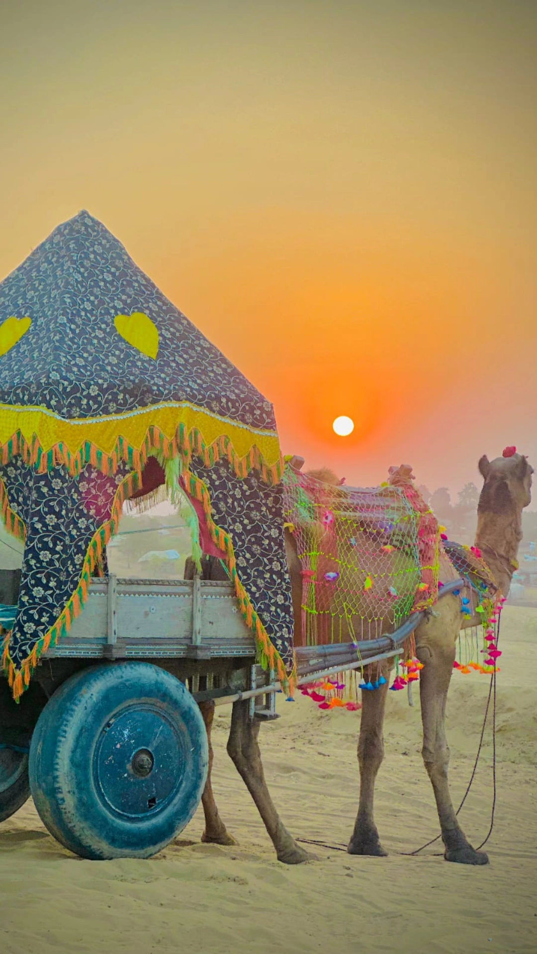 Pushkar Camel Cart Safari