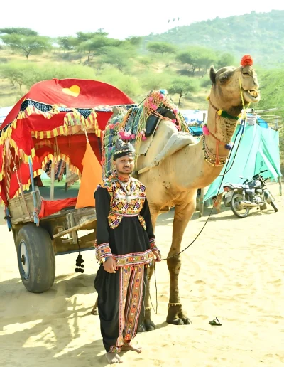 Camel Cart Safari In Pushkar