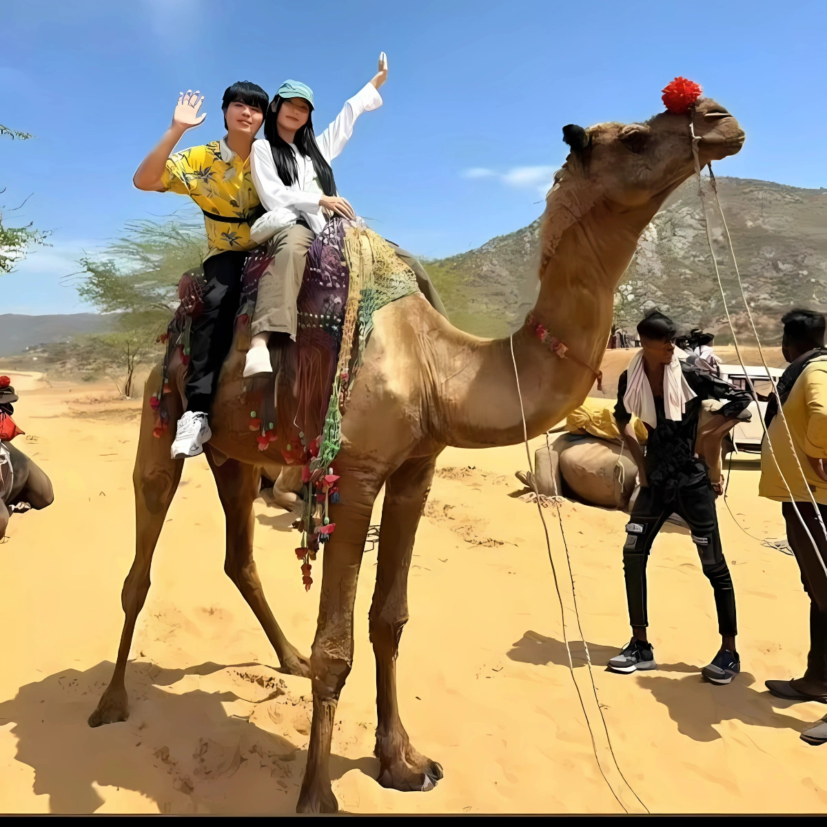 camel safari in pushkar
