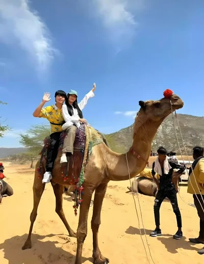 Camel Safari In Pushkar